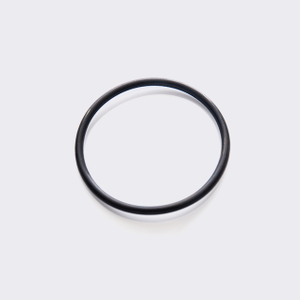 Guarnizione O-Ring