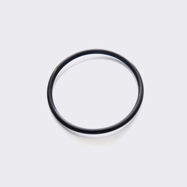 Guarnizione O-Ring